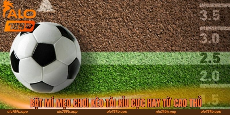 Bật mí mẹo chơi kèo Tài Xỉu cực hay từ cao thủ 