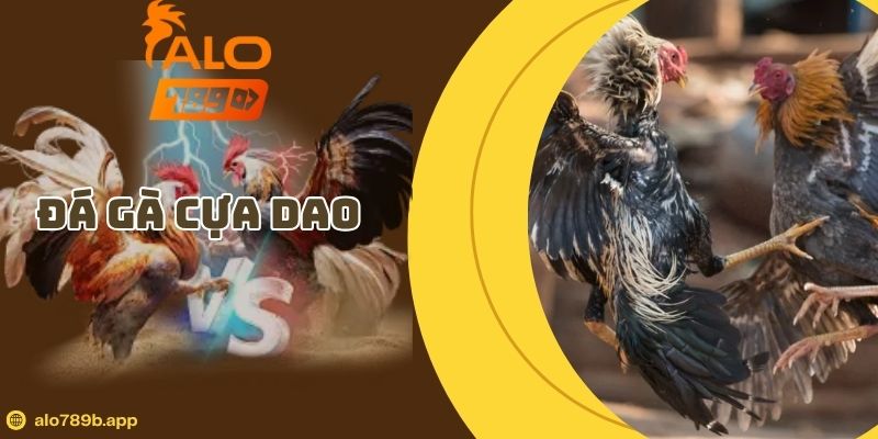 Đá Gà Cựa Dao – Mẹo Chọn Chiến Kê Và Cửa Cược Chuẩn Xác