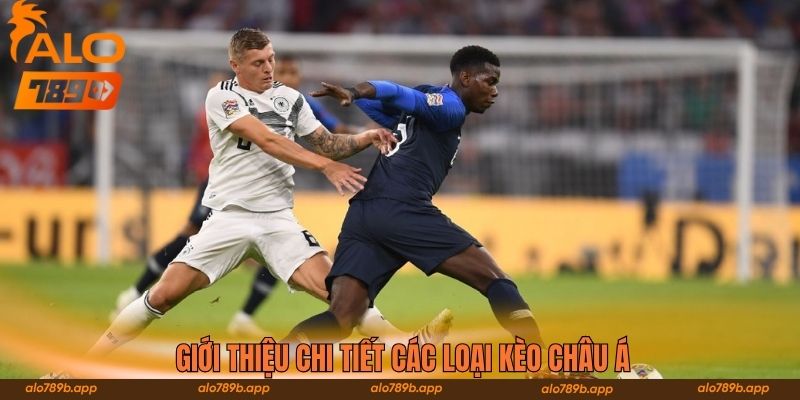 Giới thiệu chi tiết các loại kèo châu Á 