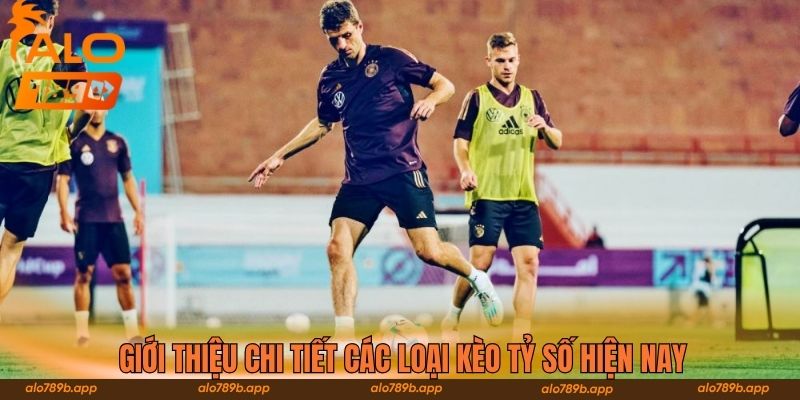 Giới thiệu chi tiết các loại kèo tỷ số hiện nay 