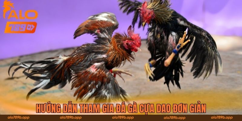 Hướng dẫn tham gia đá gà cựa dao đơn giản