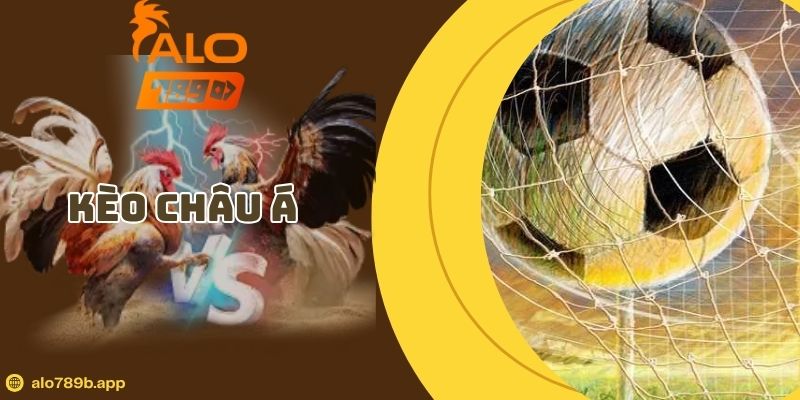 Kèo Châu Á Là Gì? Hướng Dẫn Cách Đọc Kèo Chuẩn Xác Nhất 2026