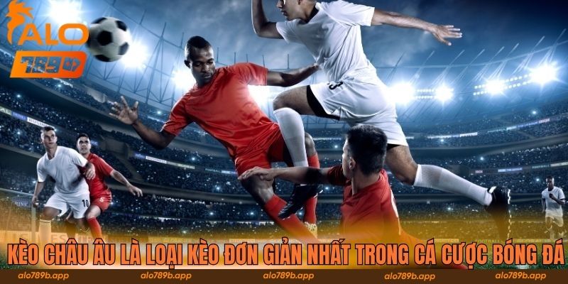 Kèo châu Âu là loại kèo đơn giản nhất trong cá cược bóng đá 