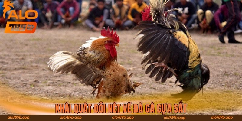 Khái quát đôi nét về đá gà cựa sắt