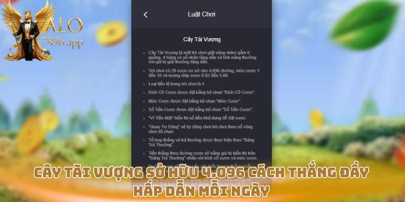 Cây Tài Vượng sở hữu 4.096 cách thắng đầy hấp dẫn mỗi ngày